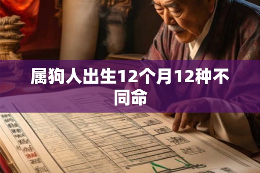 属狗人出生12个月12种不同命