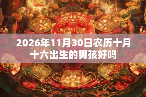2026年11月30日农历十月十六出生的男孩好吗