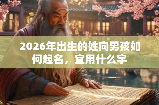 2026年出生的姓向男孩如何起名，宜用什么字