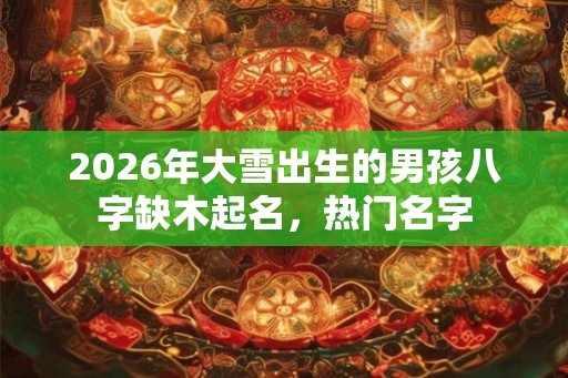2026年大雪出生的男孩八字缺木起名，热门名字