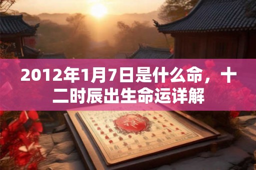 2012年1月7日是什么命，十二时辰出生命运详解