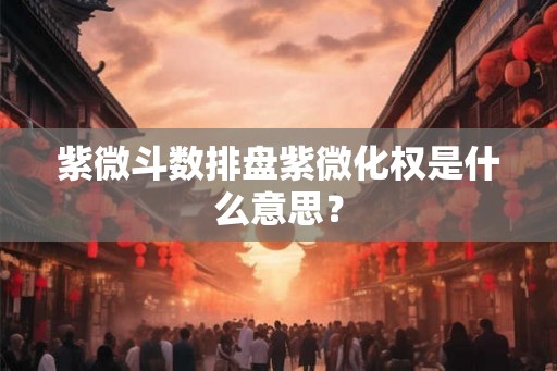 紫微斗数排盘紫微化权是什么意思? 紫微斗数排盘紫微化权是什么意思?