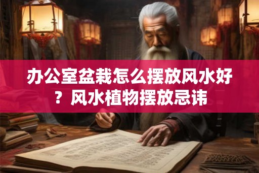 办公室盆栽怎么摆放风水好？风水植物摆放忌讳
