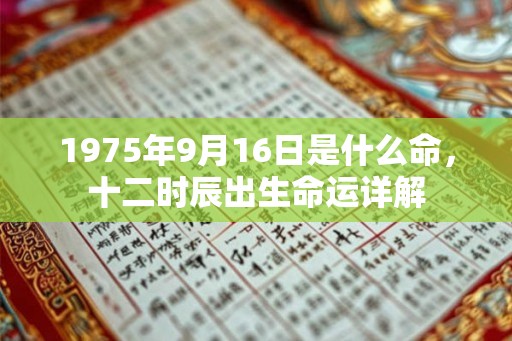 1975年9月16日是什么命，十二时辰出生命运详解