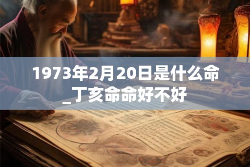 1973年2月20日是什么命_丁亥命命好不好