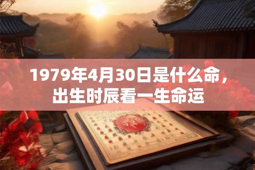 1979年4月30日是什么命，出生时辰看一生命运