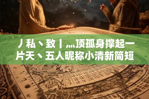 丿私丶致丨灬顶孤身撑起一片天丶五人昵称小清新简短