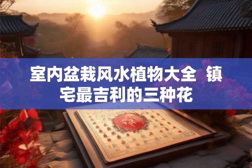 室内盆栽风水植物大全  镇宅最吉利的三种花