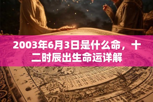 2003年6月3日是什么命，十二时辰出生命运详解