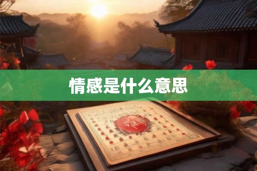 情感是什么意思