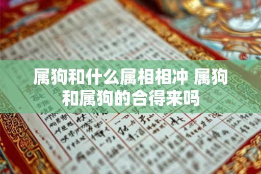 属狗和什么属相相冲 属狗和属狗的合得来吗