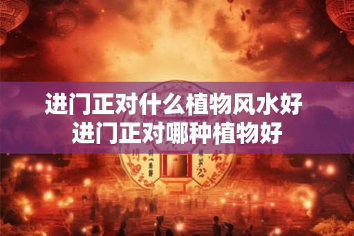 进门正对什么植物风水好 进门正对哪种植物好 进门正对什么植物风水好 进门正对哪种植物好