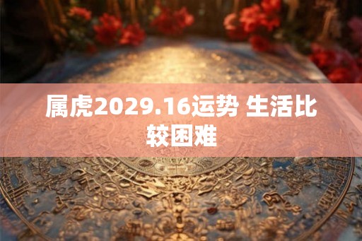 属虎2029.16运势 生活比较困难