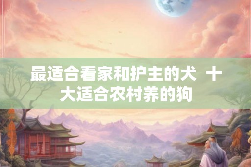 最适合看家和护主的犬  十大适合农村养的狗