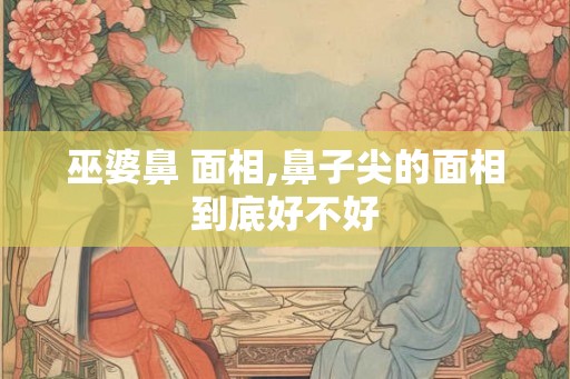 巫婆鼻 面相,鼻子尖的面相到底好不好 巫婆鼻 面相,鼻子尖的面相到底好不好