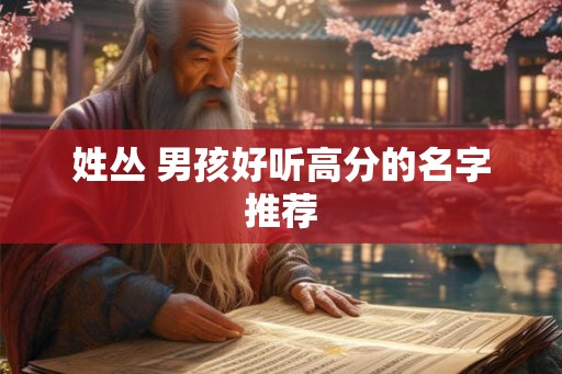 姓丛 男孩好听高分的名字推荐