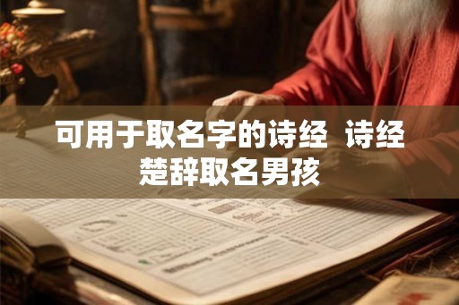 可用于取名字的诗经  诗经楚辞取名男孩