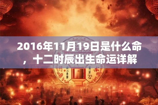 2016年11月19日是什么命，十二时辰出生命运详解