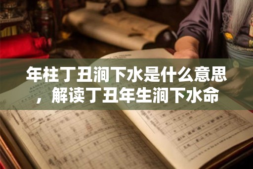 年柱丁丑涧下水是什么意思，解读丁丑年生涧下水命