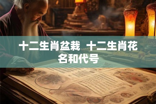 十二生肖盆栽  十二生肖花名和代号