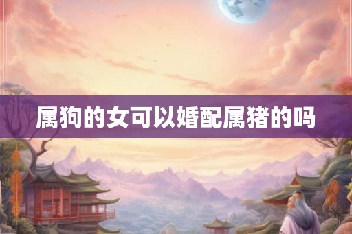 属狗的女可以婚配属猪的吗