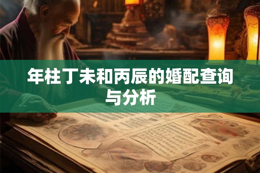 年柱丁未和丙辰的婚配查询与分析