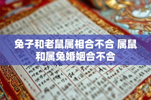 兔子和老鼠属相合不合 属鼠和属兔婚姻合不合 兔子和老鼠属相合不合 属鼠和属兔婚姻合不合
