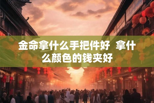 金命拿什么手把件好  拿什么颜色的钱夹好