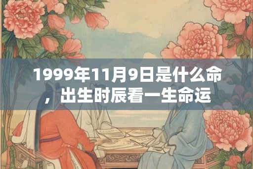 1999年11月9日是什么命，出生时辰看一生命运