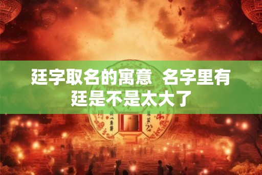 廷字取名的寓意  名字里有廷是不是太大了