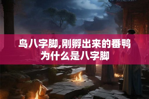 鸟八字脚,刚孵出来的番鸭为什么是八字脚