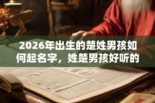 2026年出生的楚姓男孩如何起名字，姓楚男孩好听的名字