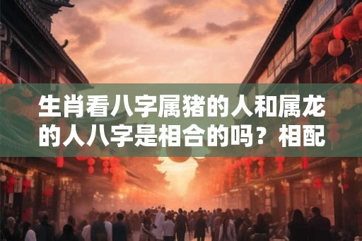 生肖看八字属猪的人和属龙的人八字是相合的吗？相配吗？