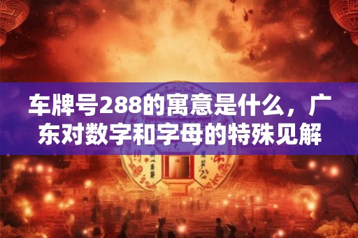 车牌号288的寓意是什么,广东对数字和字母的特殊见解 车牌号288的寓意是什么,广东对数字和字母的特殊见解