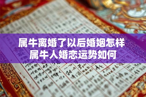 属牛离婚了以后婚姻怎样 属牛人婚恋运势如何