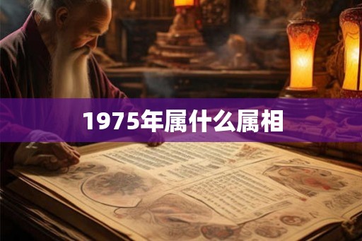 1975年属什么属相