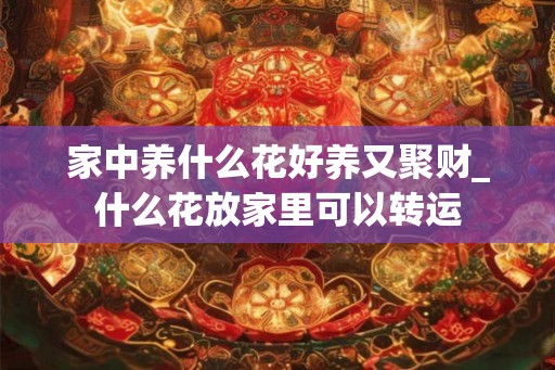 家中养什么花好养又聚财_什么花放家里可以转运