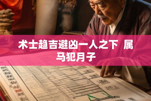 术士趋吉避凶一人之下  属马犯月子