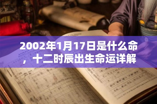 2002年1月17日是什么命，十二时辰出生命运详解