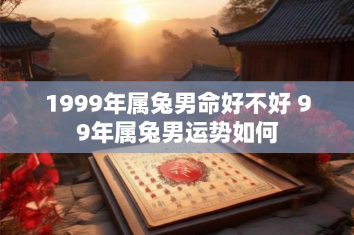 1999年属兔男命好不好 99年属兔男运势如何 1999年属兔男命好不好 99年属兔男运势如何