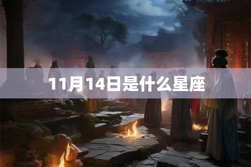 11月14日是什么星座