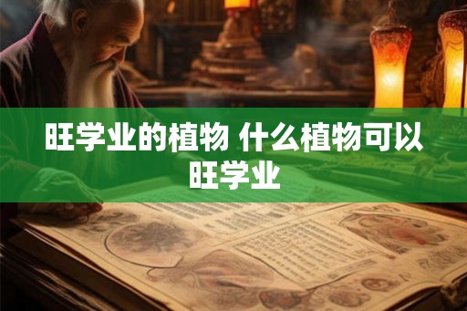 旺学业的植物 什么植物可以旺学业