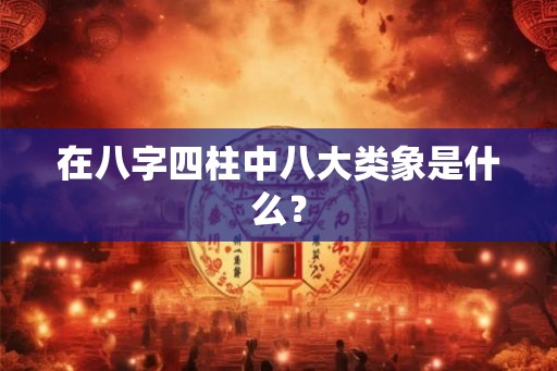 在八字四柱中八大类象是什么？