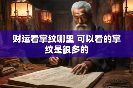 财运看掌纹哪里 可以看的掌纹是很多的