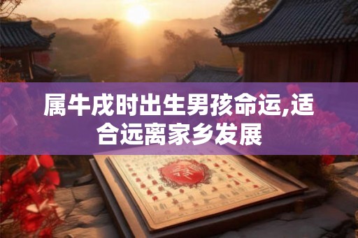 属牛戌时出生男孩命运,适合远离家乡发展 属牛戌时出生男孩命运,适合远离家乡发展