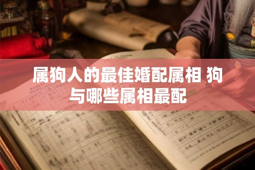 属狗人的最佳婚配属相 狗与哪些属相最配