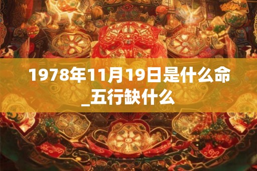 1978年11月19日是什么命_五行缺什么