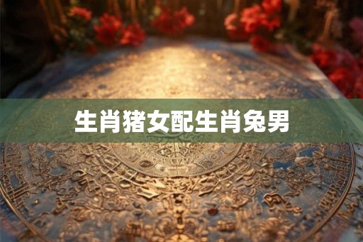生肖猪女配生肖兔男