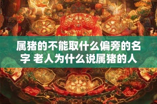 属猪的不能取什么偏旁的名字 老人为什么说属猪的人有福气