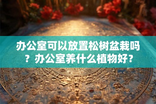 办公室可以放置松树盆栽吗？办公室养什么植物好？